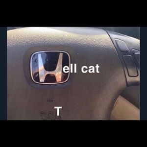 Meet your Posher, Antonio